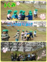 Aくみ急に寒くなりお休みが増えていますが…今日は幼稚園のこいのぼりをあげました😁🎵みんなで力をあわせて引っ張り上げましたよ🎏✨✨