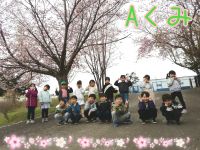 Aくみ幼稚園の桜が見頃でした！！みんなで見に行ってきましたよ☺️✨