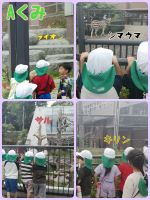 Aくみぴっかぴかのお天気の中、円山動物園へ行ってきました😁✨✨たくさんの動物が目の前まできていたりと大興奮で見てきましたよ！