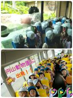 Ｃくみバスでしゅっぱーつ‼円山動物園遠足でした♪どの動物も近くで見られて、天気も気温も丁度良く、動物園日和でした！