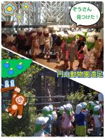 Jくみ円山動物園へ行きました！途中で水分補給をしながら歩きましたよ😃ゾウが室内で歩いているところを見たり、ロープで遊んでいるチンパンジーを見つけて、みんな大喜びでした！