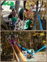 Aくみ幼稚園の森もすっかり秋のいろになりました🍂昼間は暖かくて子供たちも元気いっぱいです☺