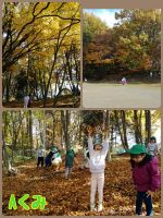 Aくみ森の中に入ると落ち葉がたくさんあり、みんな大興奮で葉っぱを上から降らせていましたよ～☺️