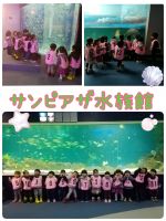 Oくみサンピアザ水族館に行ってきました☺朝から「今日は、水族館だよね？」とにこにこで聞いてきたみんなです！大きな魚や小さな魚🐠アザラシやペンギンもたくさん見てきましたよ🎵たっぷり見て、大満足のOくみさんでした！