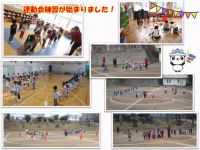 各学年、来月の運動会練習が始まっています！Iくみさんからはかわいい「ドラえもん」の声♡年中さんはかけっこ練習をしていました。年長さんは鼓隊・リレーと盛りだくさんです。Oくみさんはゆっくりと初めてのおままごとをしていましたよ！