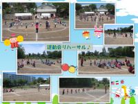 運動会リハーサル快晴のなか、運動会のリハーサルを行いました。どのクラスもとてもステキな姿を見せてくれ、当日が楽しみになりました。お天気がよくなりますように・・・☆