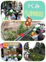 Iくみ円山動物園に行ってきました✨️たくさんの動物を見ることができて、大満足の子どもたち！目の前を歩くライオンの迫力に、「わ〜！」と思わず後ずさってしまう姿が可愛らしかったです😉💕