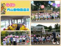 Ｇくみ円山動物園に遠足に行きました✨️行きのバスでは動物クイズをしました♪ゾウやキリン、トラなどたくさんの動物たちに大興奮の子どもたちでした👀✨動物たちもファンサービス多めでみんなの近くに何回も来てくれましたよ😆💕